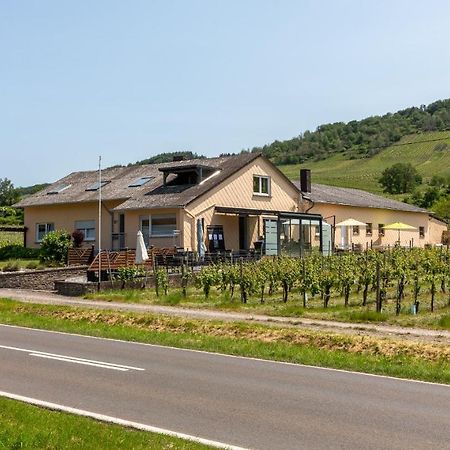 Bed and Breakfast Weingut J. A. Meyer à Wintrich Extérieur photo